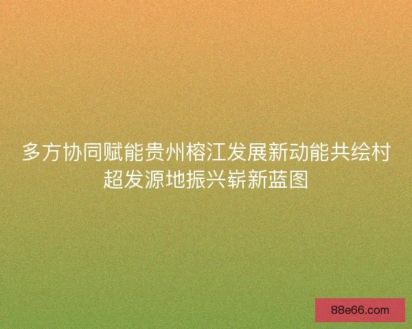 多方协同赋能贵州榕江发展新动能共绘村超发源地振兴崭新蓝图