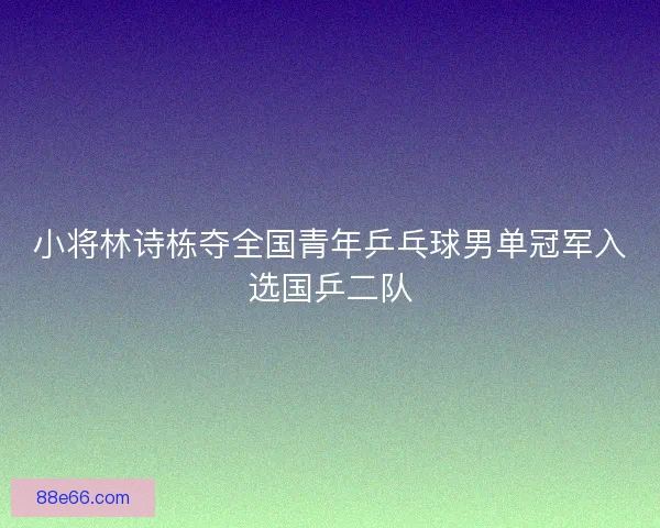 小将林诗栋夺全国青年乒乓球男单冠军入选国乒二队